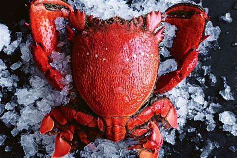 queensland fishing brokerage|crab license for sale queensland.